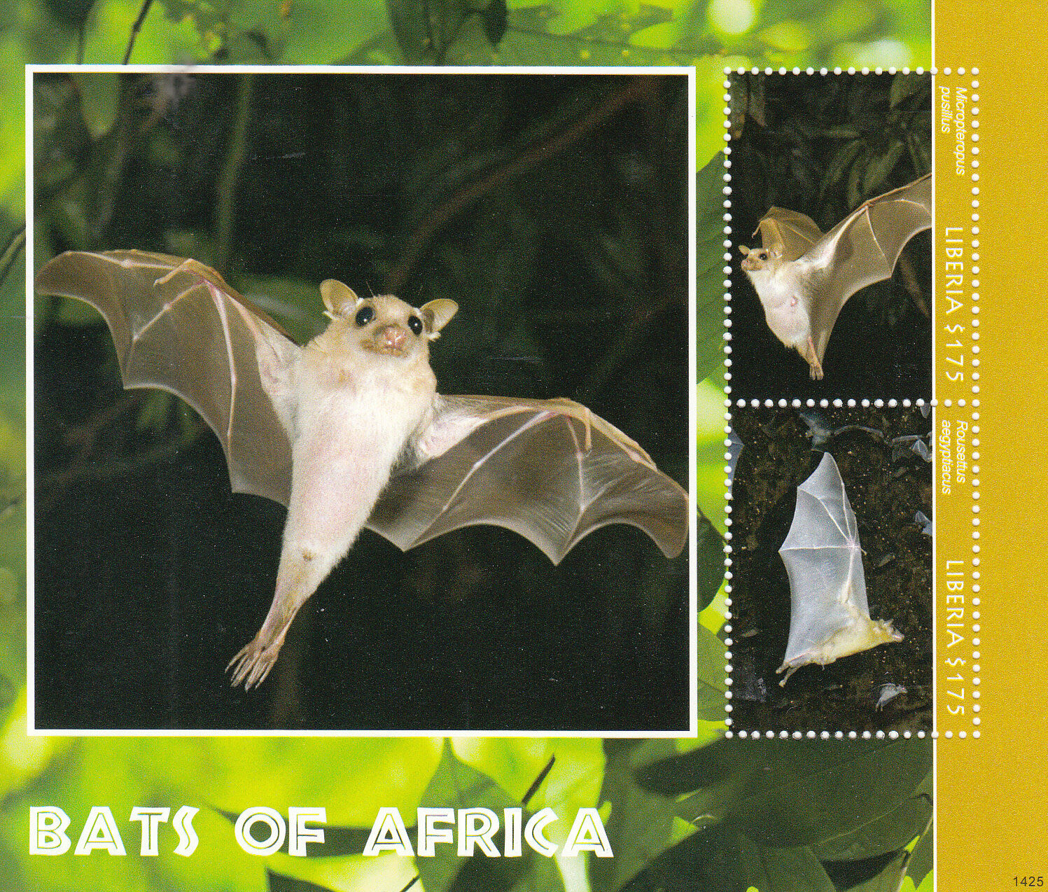 Liberia 2014 MNH Bats of Africa 2v S/S II Wildlife Wild Animals Micropterus