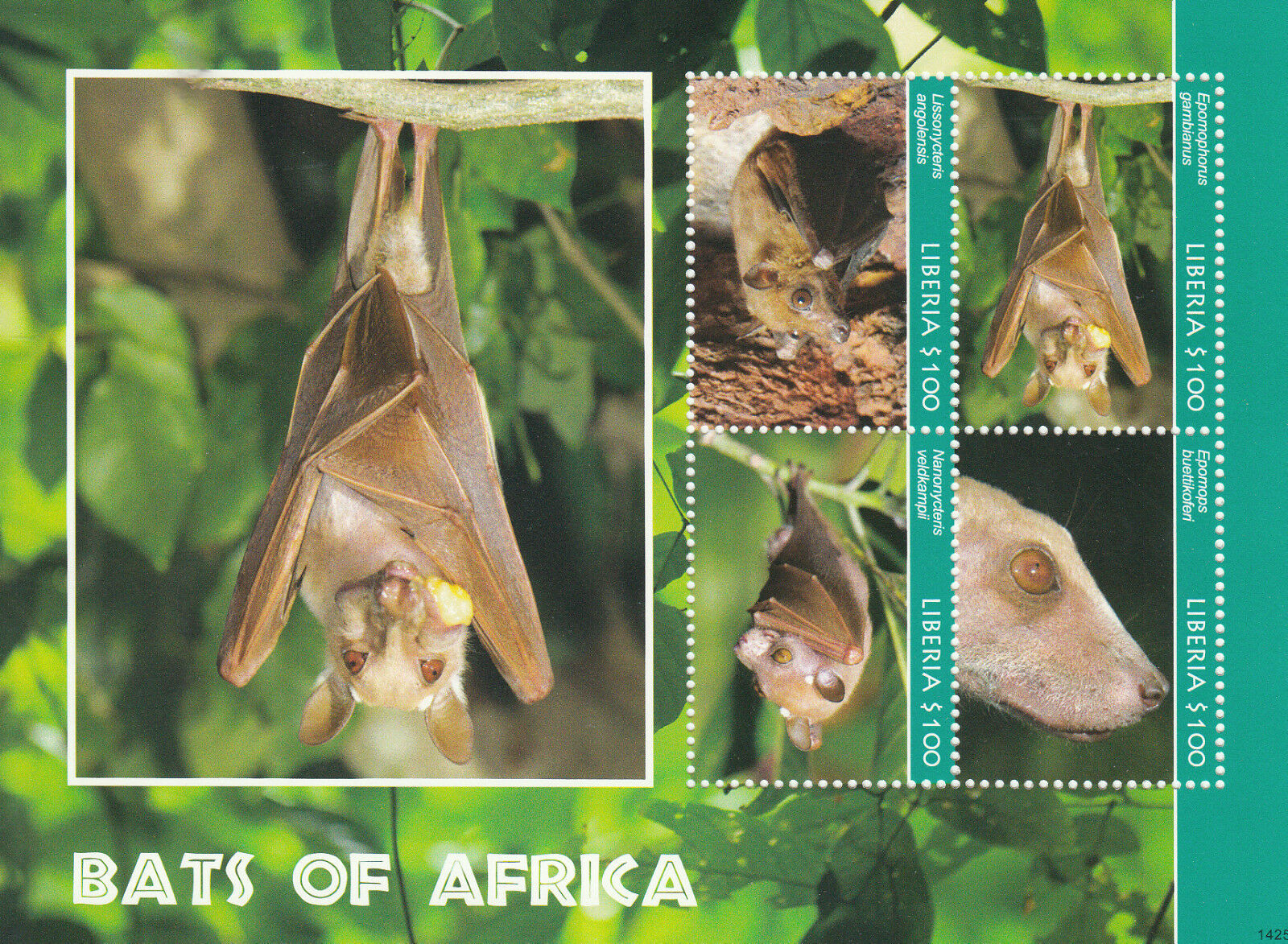 Liberia 2014 MNH Bats of Africa 4v M/S II Wildlife Wild Animals Epomops