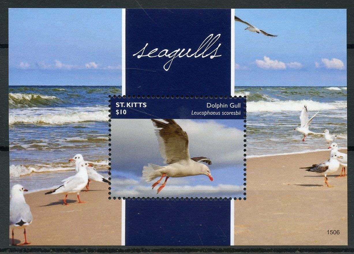 St Kitts 2015 MNH Seagulls Dolphin Gull1v S/S II Birds Gulls Nature Fauna Stamps