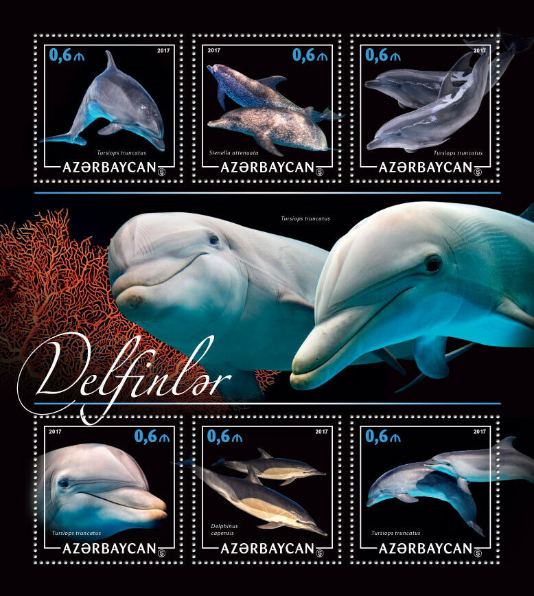 Azerbaijan Dolphins Stamps 2017 MNH Marine Animals Bottlenose Dolphin 6v M/S