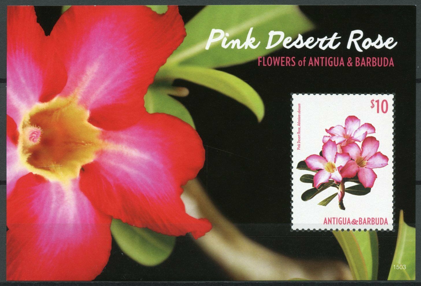 Antigua & Barbuda Flowers Stamps 2015 MNH Pink Desert Rose Roses Flora 1v S/S