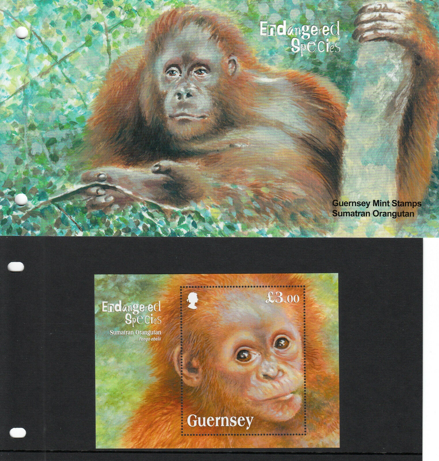 Guernsey 2014 MNH Endangered Species Sumatran Orangutan 1v M/S Presentation Pack