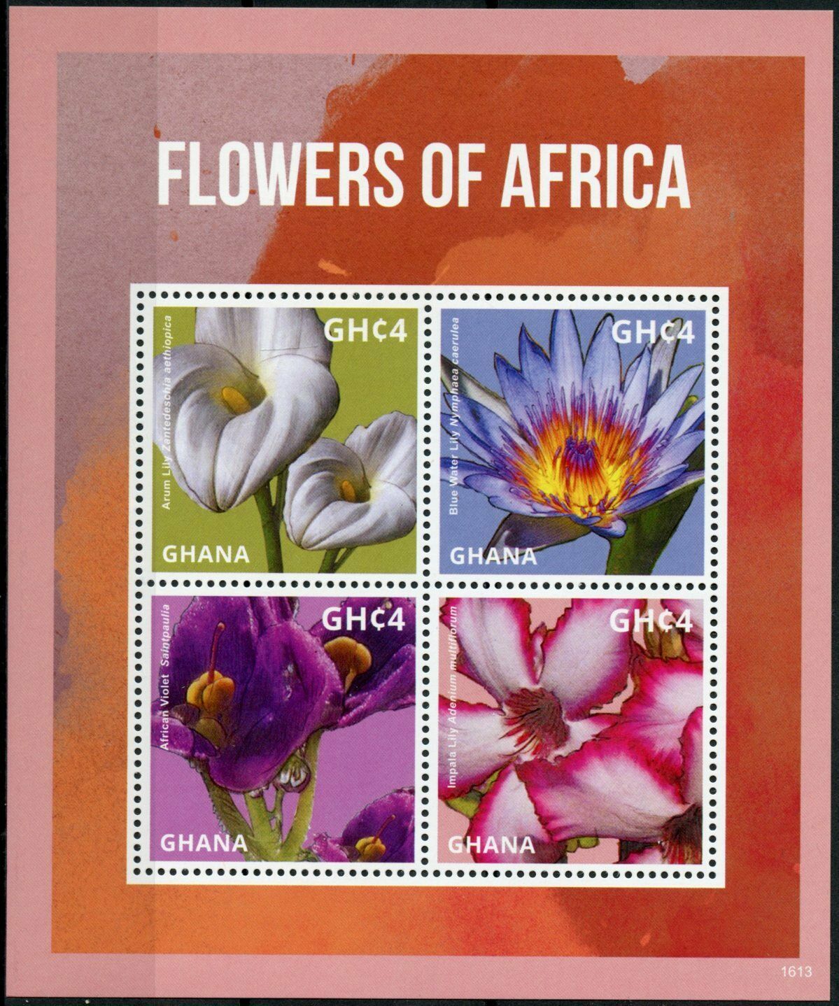 Ghana Flowers of Africa Stamps 2016 MNH Arum Blue Water Impala Lily Flora 4v M/S