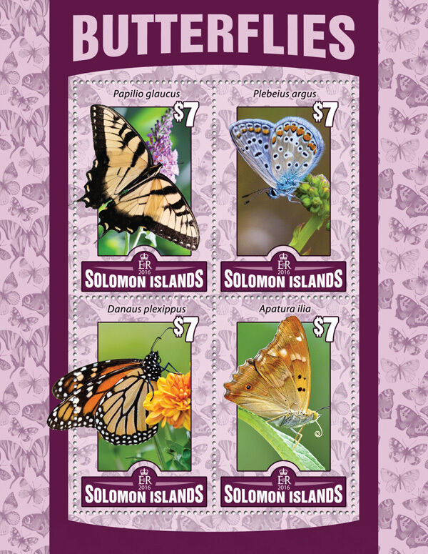 Solomon Islands 2016 MNH Butterflies Stamps Butterfly 4v M/S