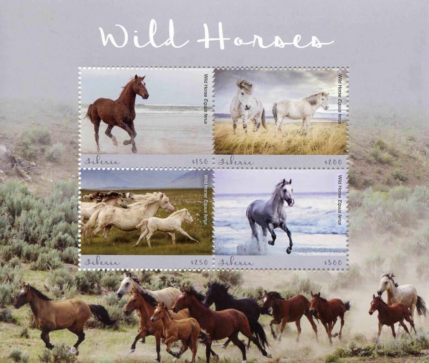 Liberia 2018 MNH Wild Animals Stamps Wild Horses Horse 4v M/S II