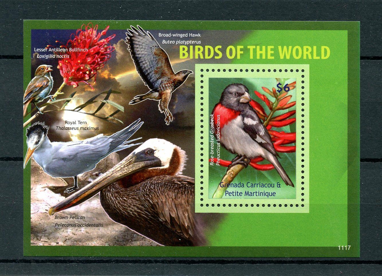Grenadines of Grenada 2011 MNH Birds of World I 1v S/S Pelicans Hawks Stamps