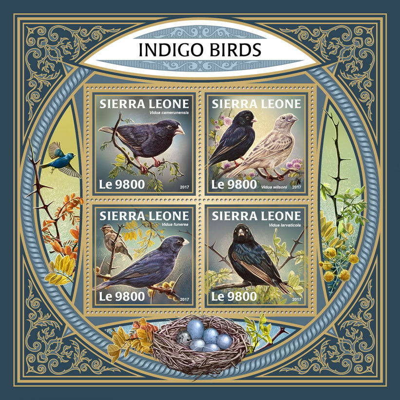 Sierra Leone 2017 MNH Viduidae Indigobirds Indigo Birds 4v M/S Bird Stamps