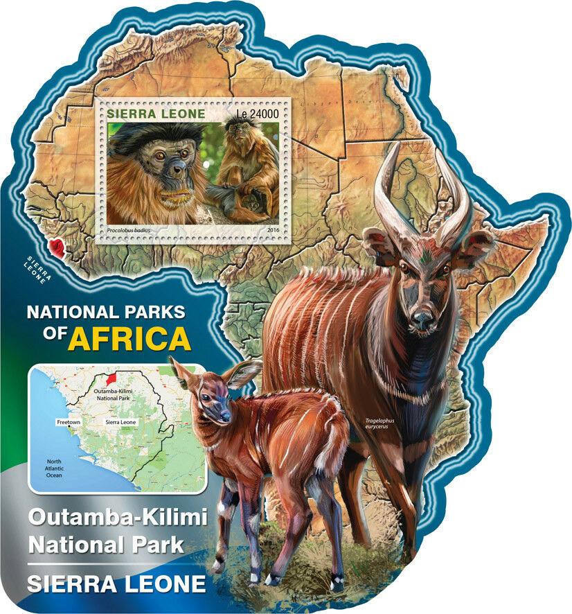 Sierra Leone 2016 MNH Outamba-Kilimi National Park 1v S/S Colobus Monkeys Stamps