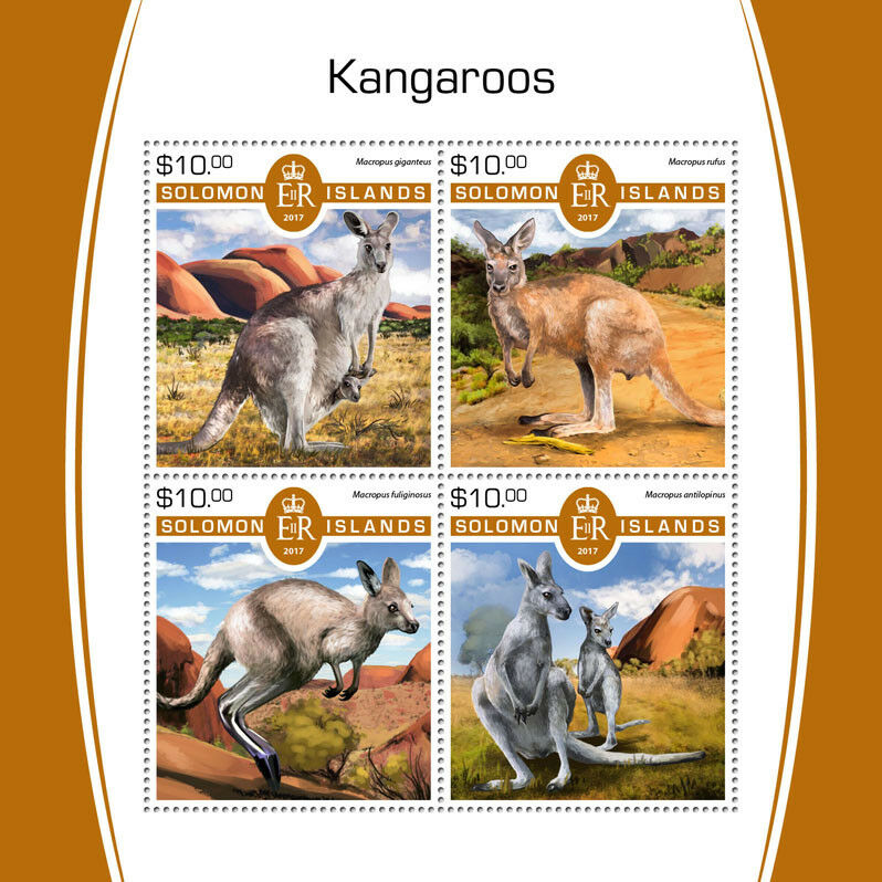 Solomon Islands 2017 MNH Kangaroos Kangaroo 4v M/S Wild Animals Stamps