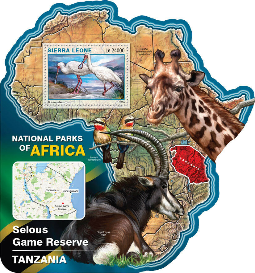 Sierra Leone 2016 MNH Selous Game Reserve 1v S/S Spoonbills Birds Stamps