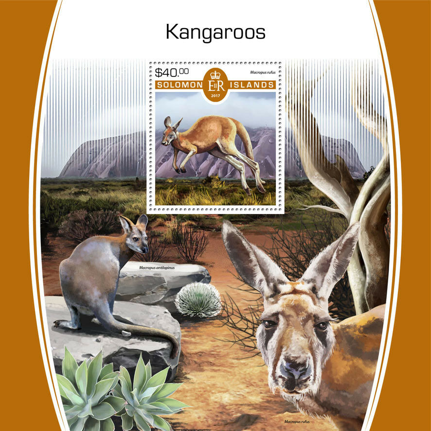 Solomon Islands 2017 MNH Kangaroos Kangaroo 1v S/S Wild Animals Stamps