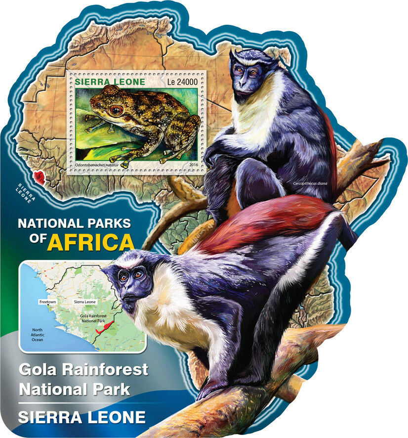 Sierra Leone 2016 MNH Gola Rainforest National Park 1v S/S Frogs Monkeys Stamps