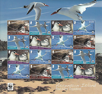 Ascension Island 2011 MNH Red-billed Tropicbird 16v Sheetlet Birds WWF