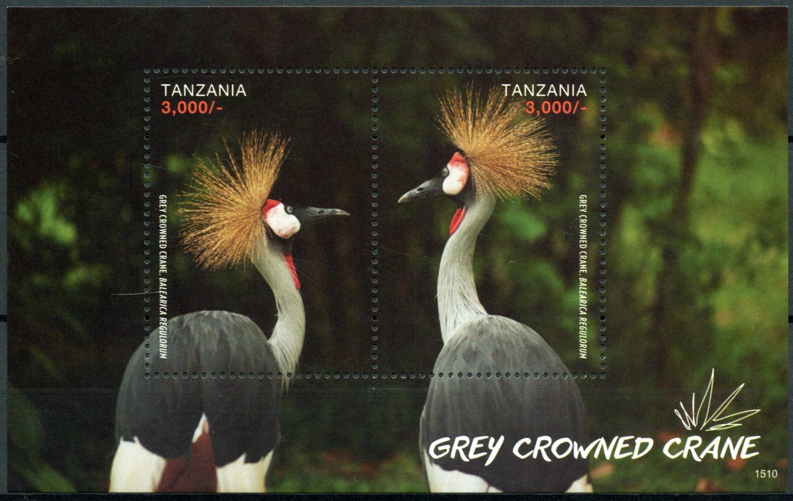 Tanzania 2015 MNH Birds on Stamps Grey Crowned Crane Cranes 2v S/S