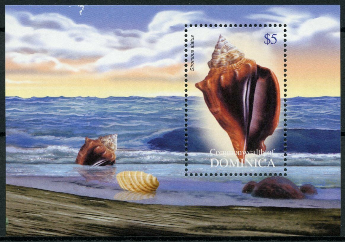 Dominica 2004 MNH Seashells Stamps Marine Sea Shells Strombus Alatus 1v S/S