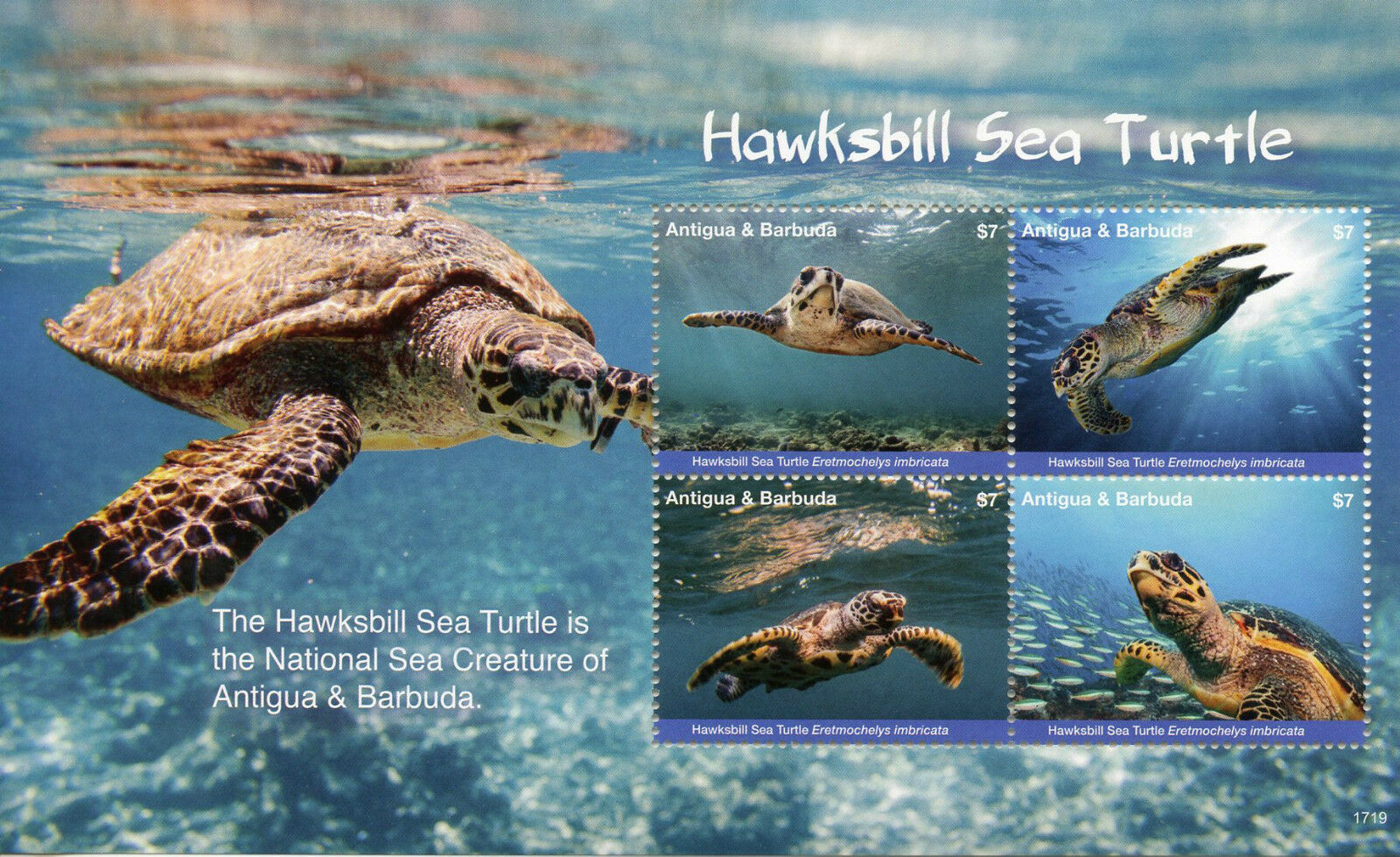 Antigua & Barbuda 2017 MNH Turtles Stamps Hawksbill Sea Turtle Reptiles 4v M/S I