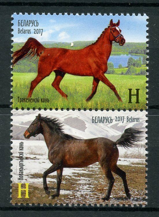 Belarus 2017 MNH Horses Joint Issue JIS Kyrgyzstan 2v Set Animals Stamps