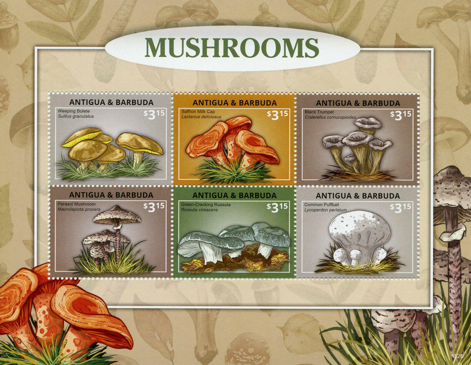 Antigua & Barbuda 2015 MNH Mushrooms 6v M/S Bolete Russula Puffball Stamps