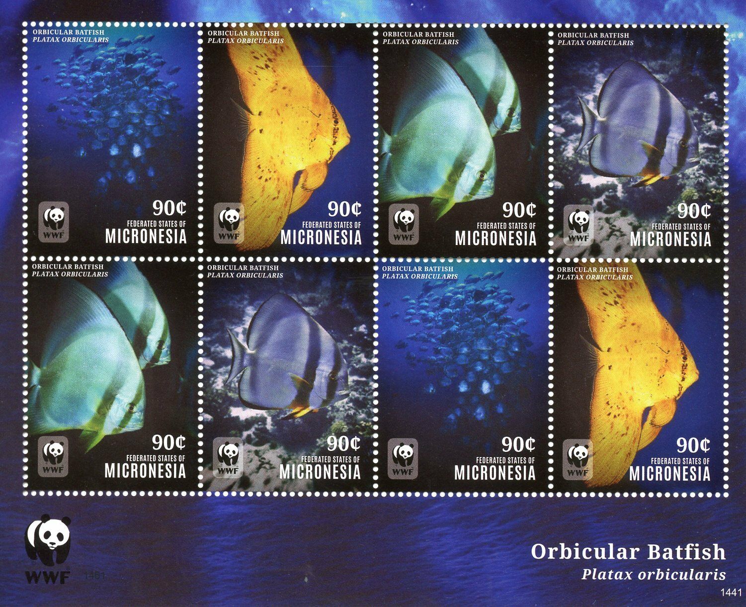 Micronesia 2014 MNH Orbicular Batfish WWF 8v M/S Fish Marine