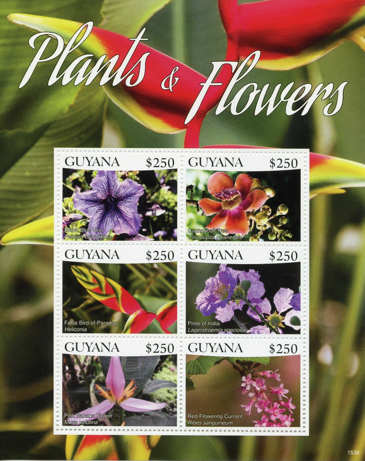 Guyana 2015 MNH Plants & Flowers 6v M/S I Bravo Blue Vein Cannonball Tree Stamps