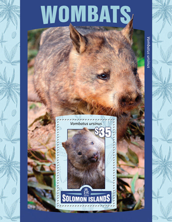 Solomon Islands 2016 MNH Wombats 1v S/S Wombat Wild Animals Stamps