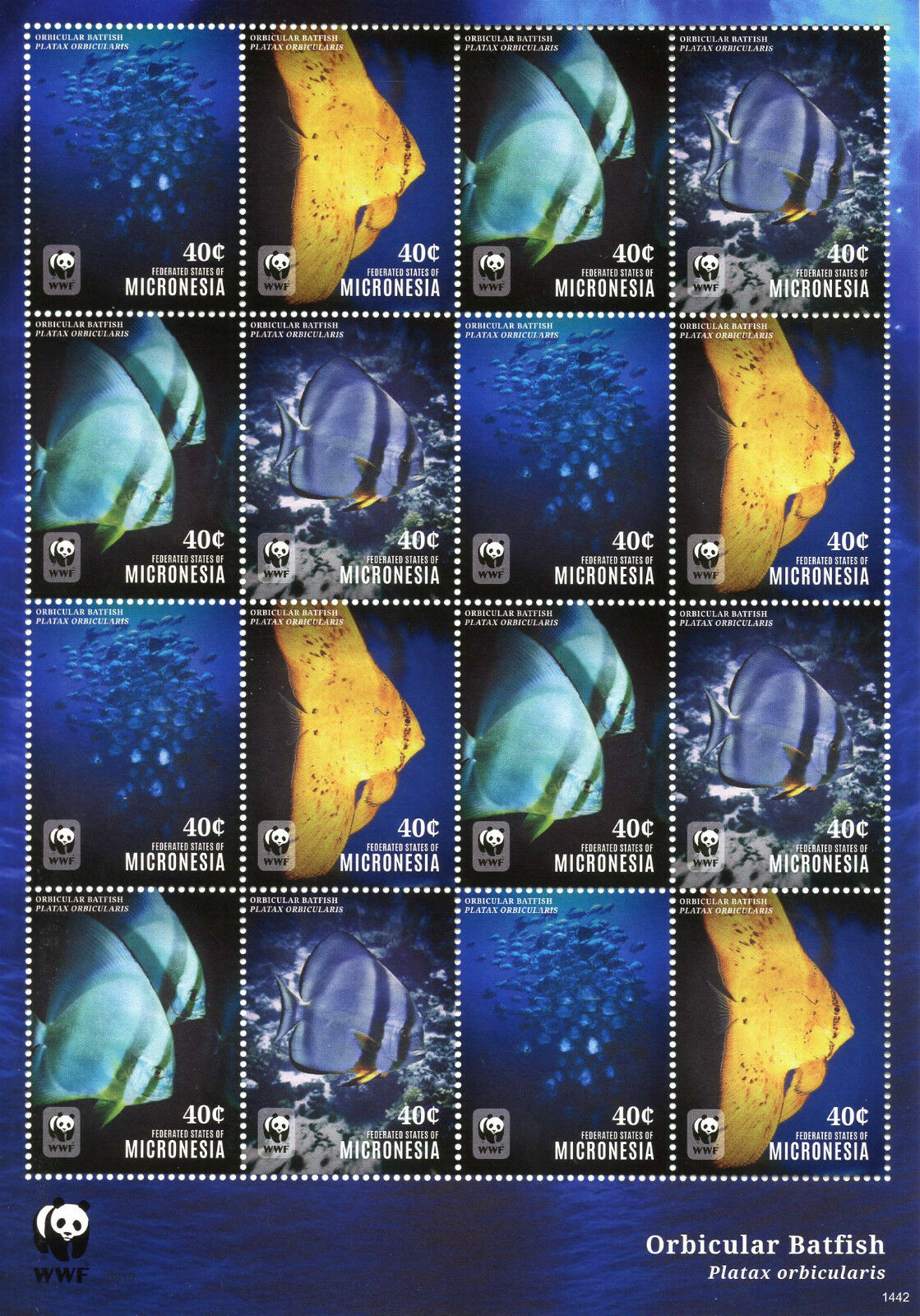 Micronesia 2014 MNH WWF Stamps Orbicular Batfish Fish Fishes 16v M/S