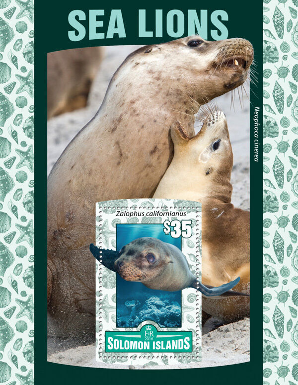 Solomon Islands 2016 MNH Sea Lions 1v S/S Seals Wild Animals Stamps