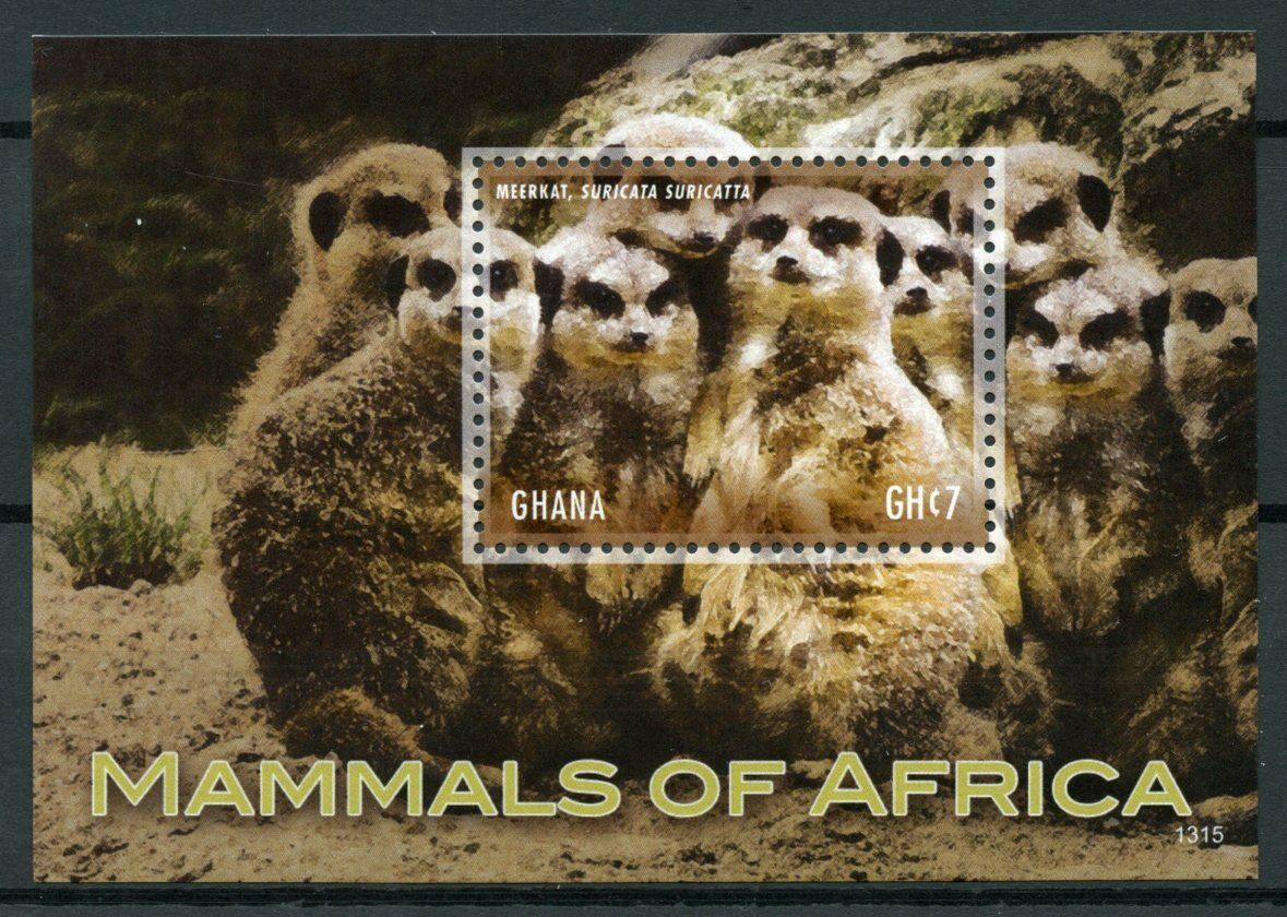 Ghana Wild Animals Stamps 2013 MNH Mammals of Africa Meerkats Wildlife 1v S/S