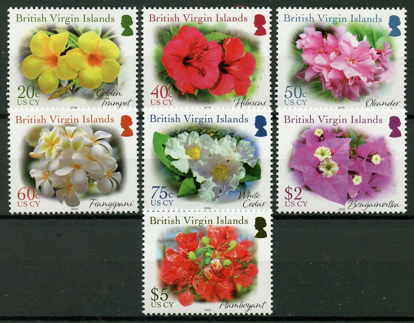 BVI 2020 MNH Flowers Stamps Hibiscus Frangipani Oleander Flora Nature 7v Set