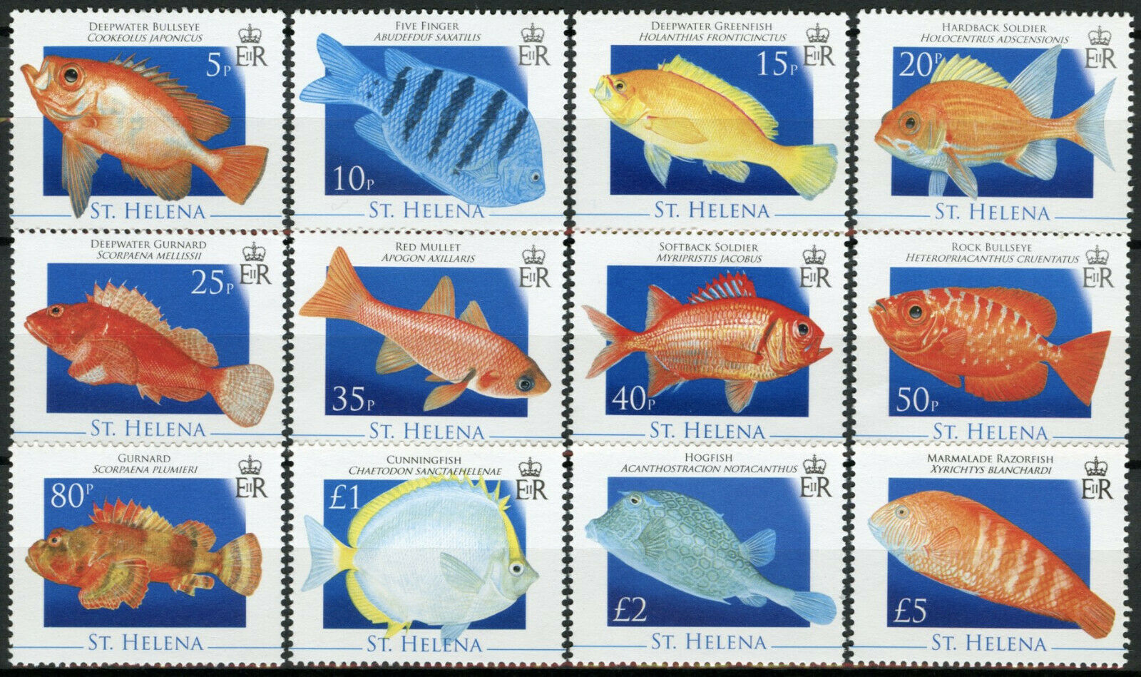 St Helena Fishes Stamps 2008 MNH Fish Definitives Gurnard Mullet Hogfish 12v Set
