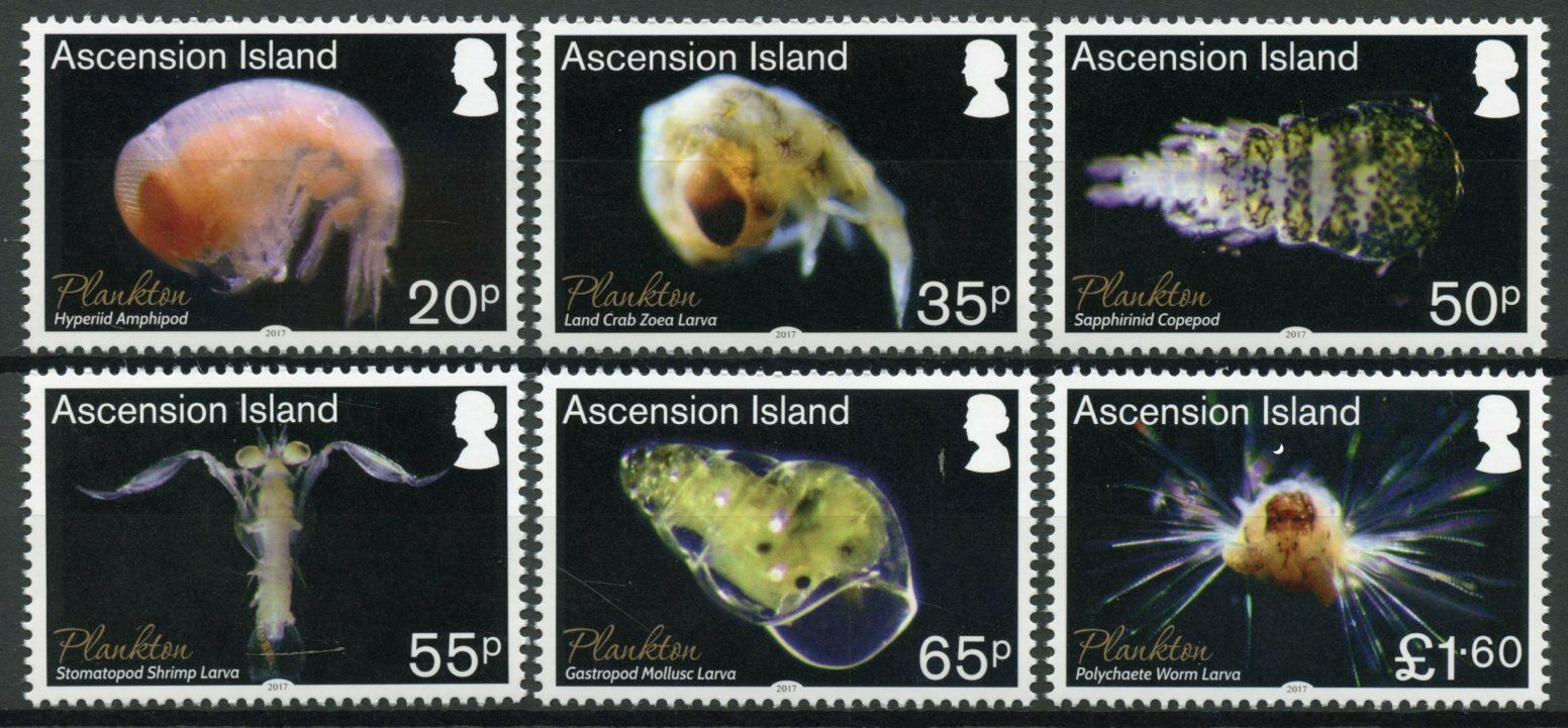 Ascension Island 2017 MNH Marine Animals Stamps Plankton Gastropod Copepod 6v Set