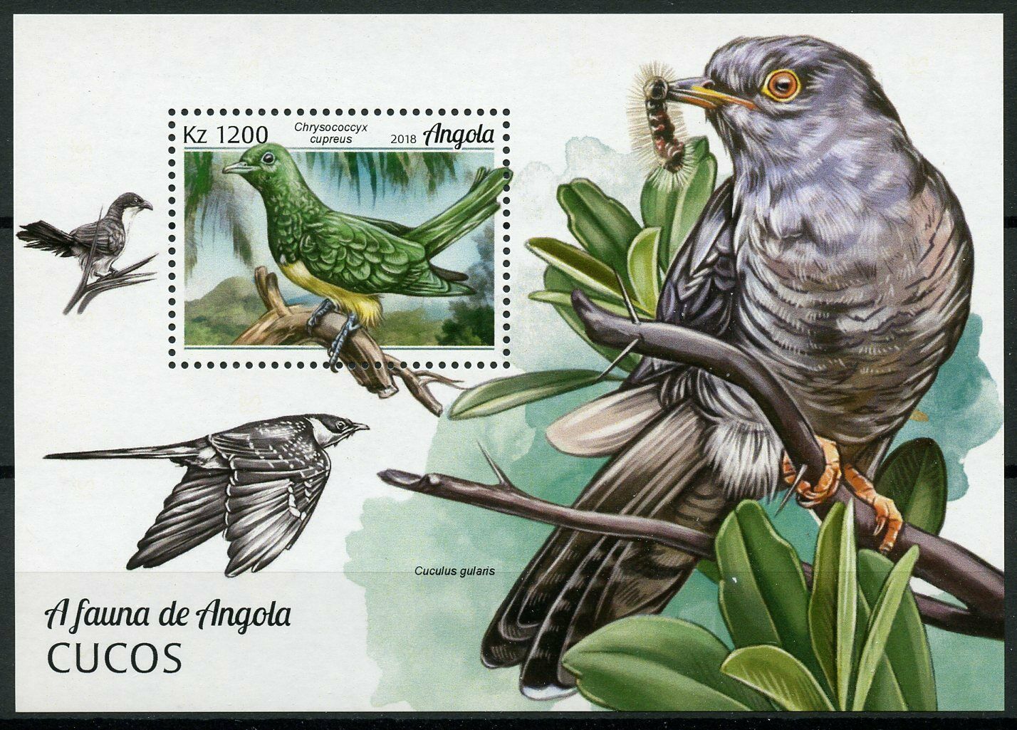 Angola Birds on Stamps 2018 MNH Cuckoos Cuckoo 1v M/S