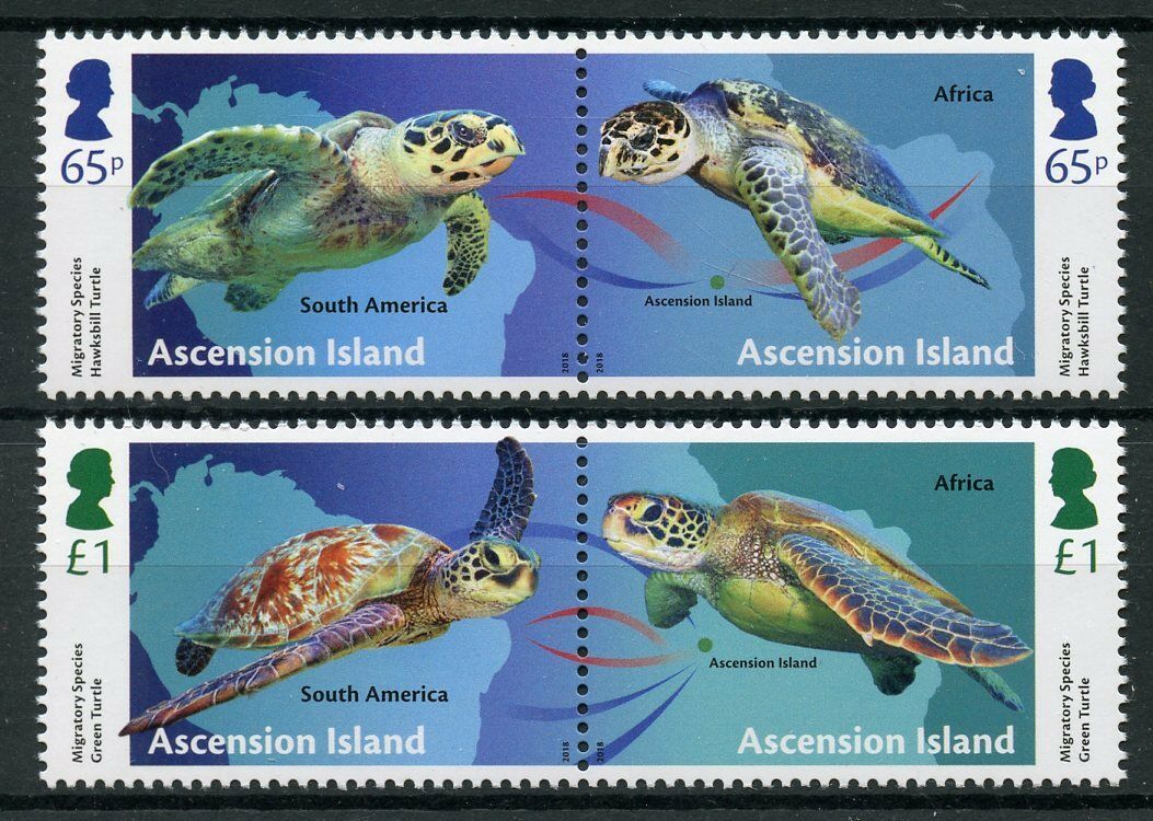 Ascension Island 2018 MNH Reptiles Stamps Migratory Species Turtles 4v Set