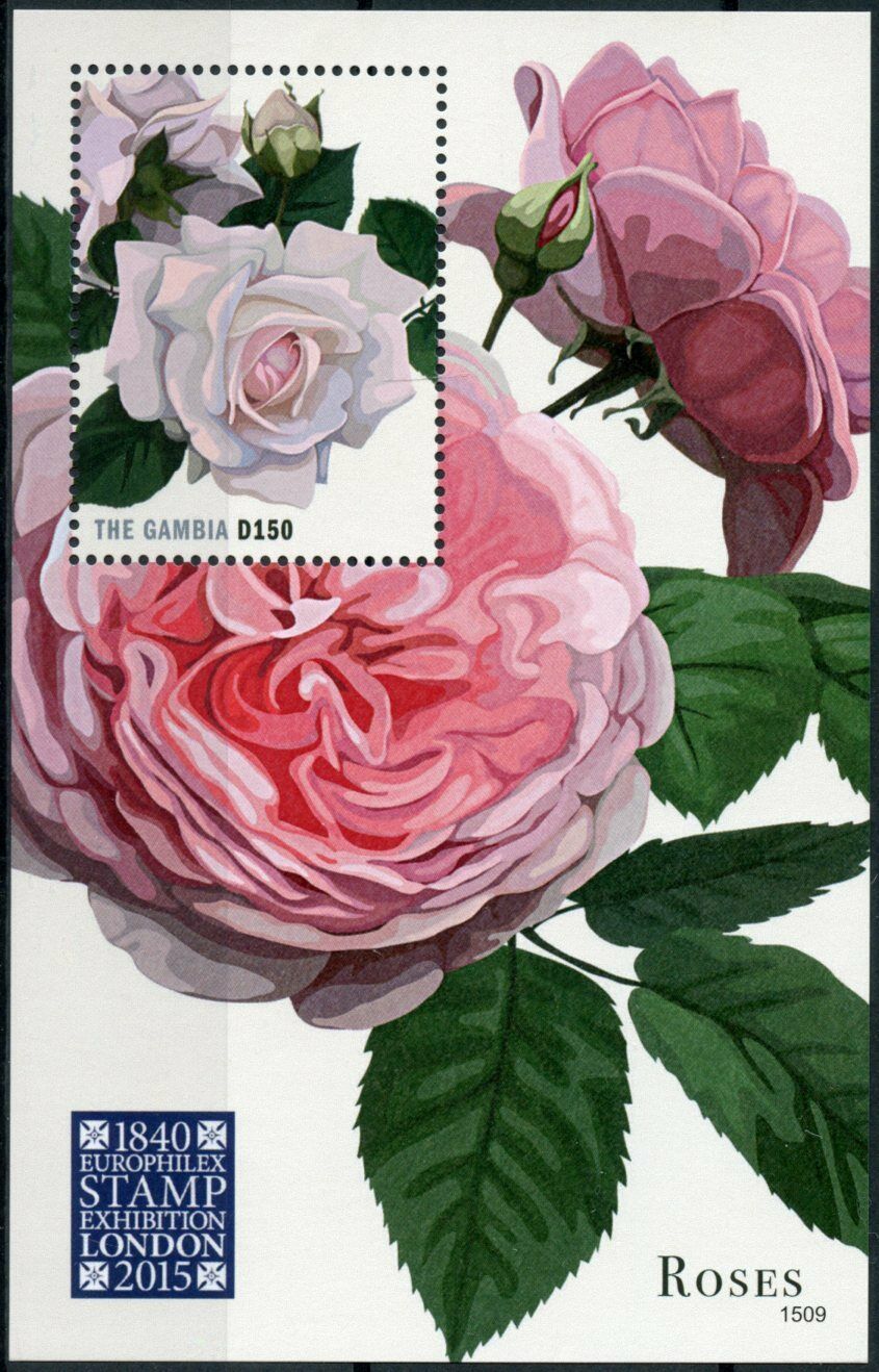 Gambia 2015 MNH Flowers Stamps Roses Rose Flora Europhilex Stamp Shows 1v S/S