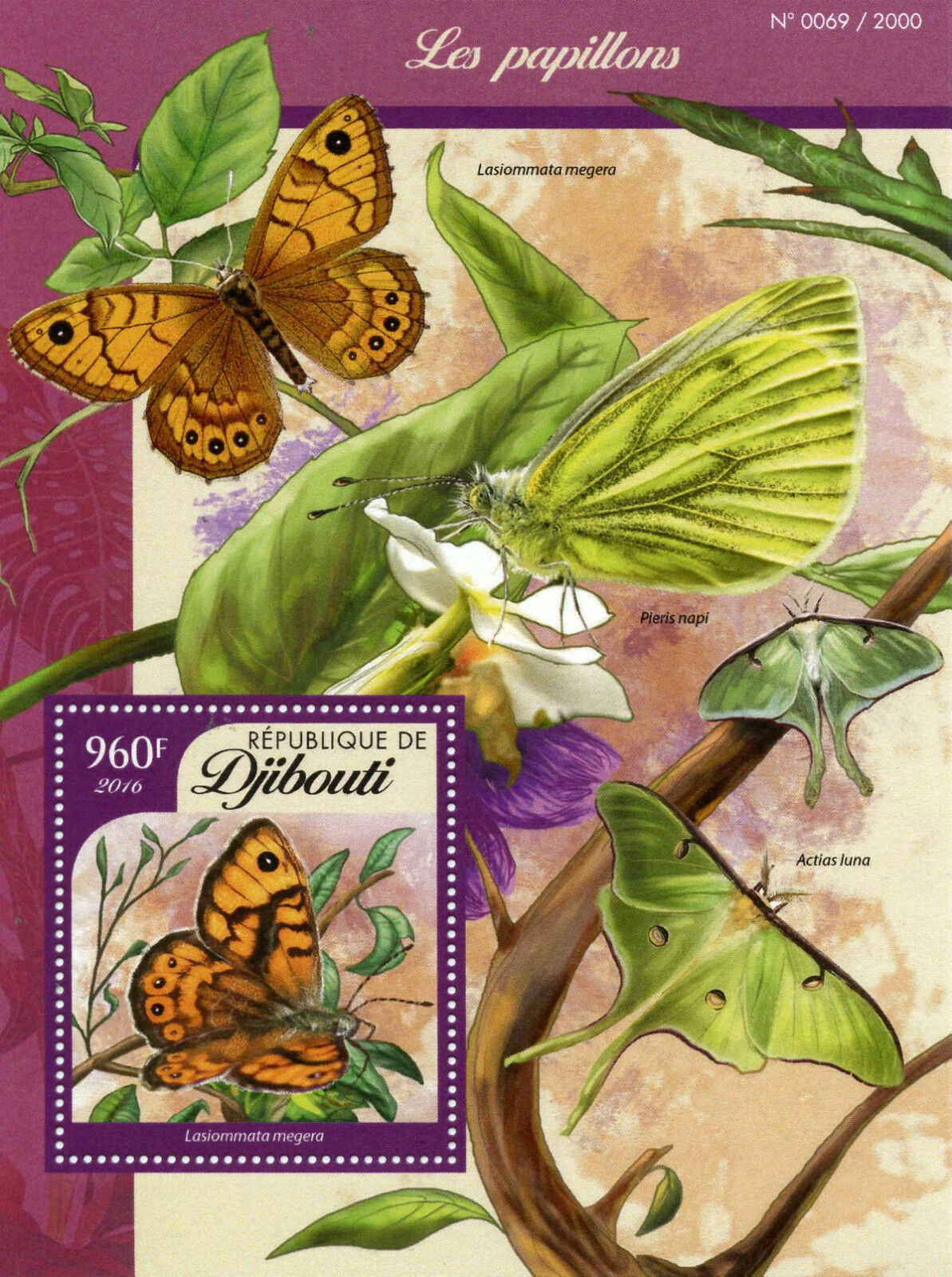 Djibouti 2016 MNH Butterflies 1v S/S Insects Wall Brown Butterfly Stamps