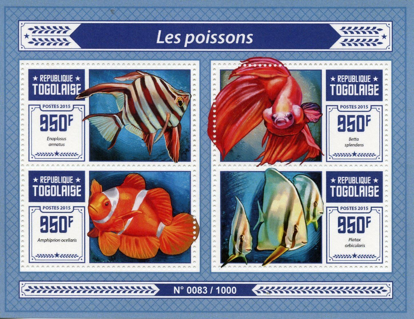 Togo 2015 MNH Fishes 4v M/S Siamese Fighting Fish Ocellaris Clownfish Stamps