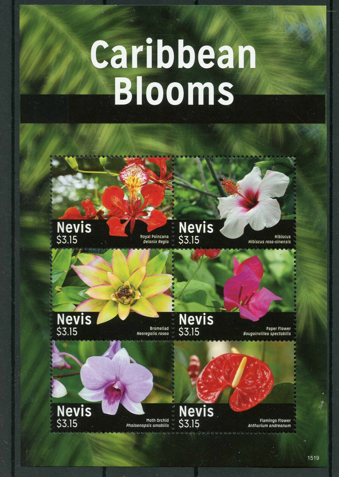 Nevis 2015 MNH Caribbean Blooms 6v M/S Flowers Orchids Poincana Bromeliad