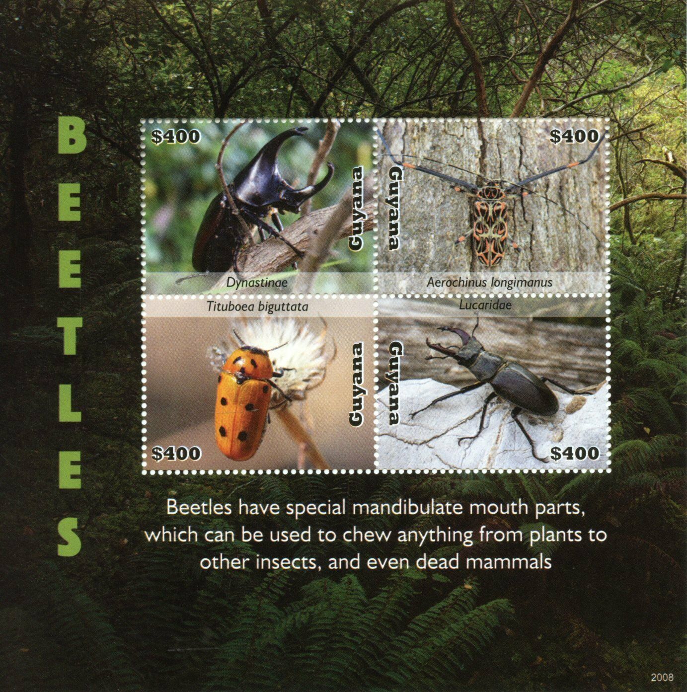 Guyana 2020 MNH Beetles Stamps Stag Beetle Insects Fauna 4v M/S