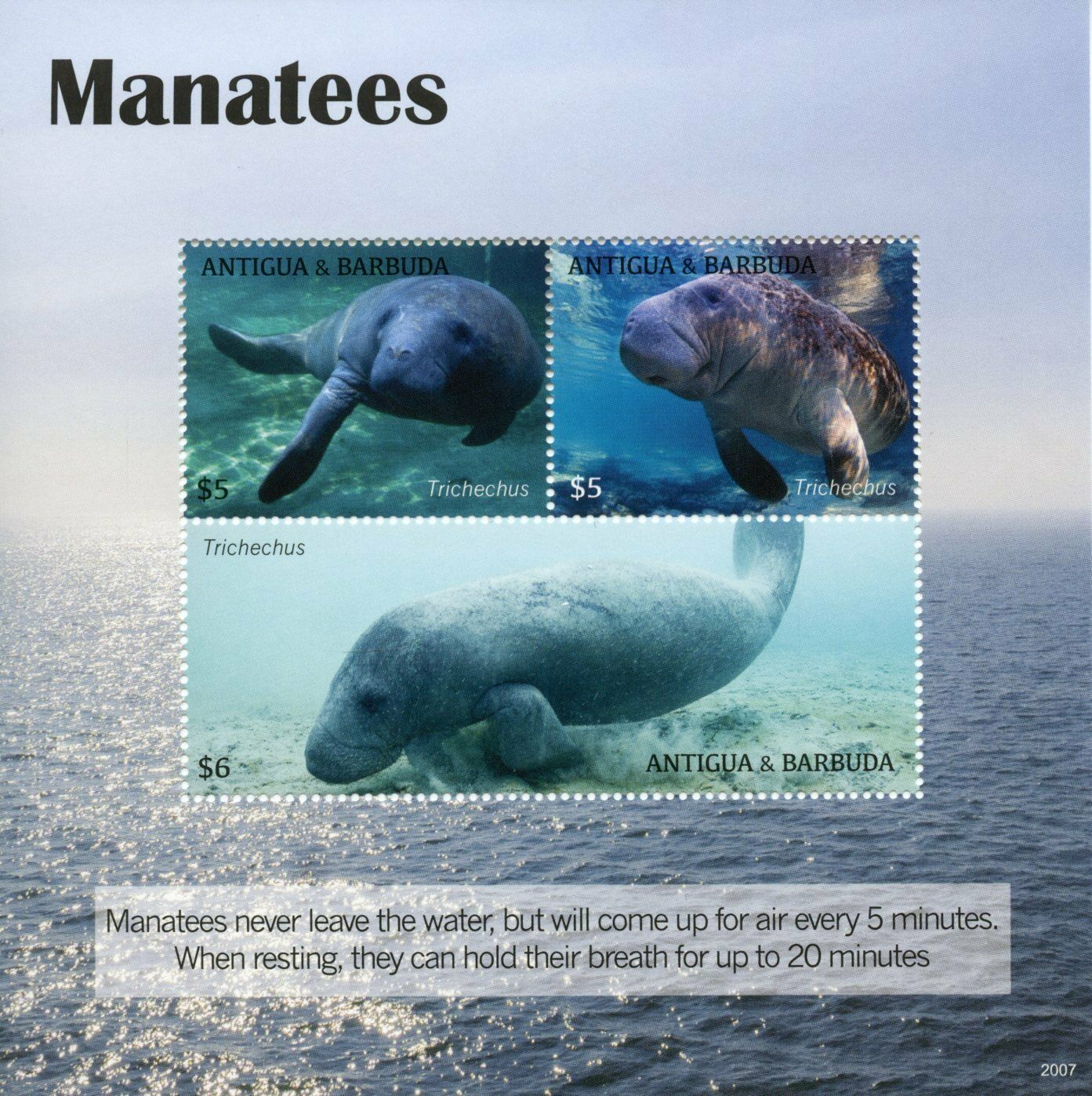 Antigua & Barbuda 2020 MNH Marine Animals Stamps Manatees Manatee Fauna 3v M/S