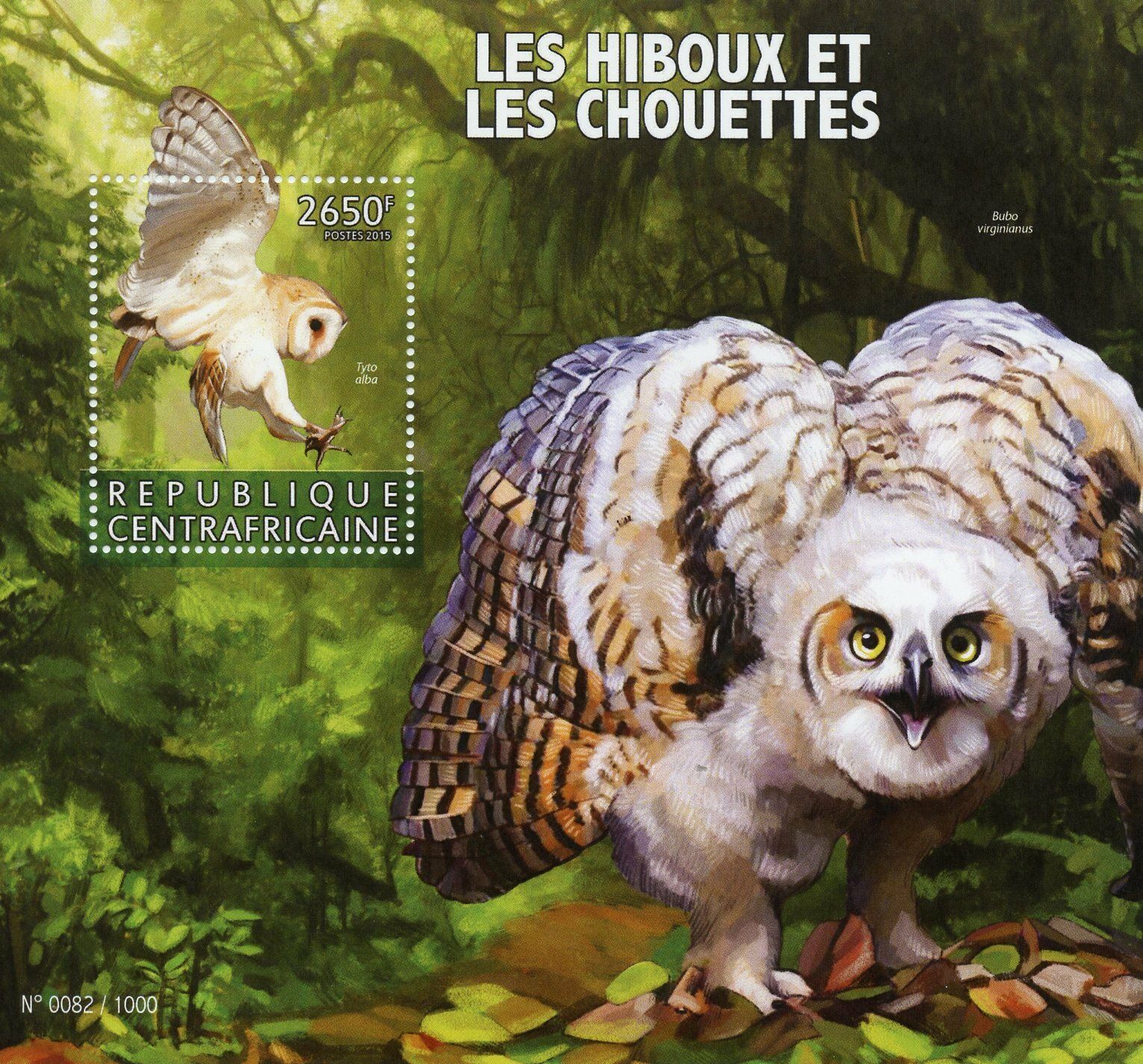 Central African Republic 2015 MNH Owls 1v S/S Birds of Prey Barn Owl