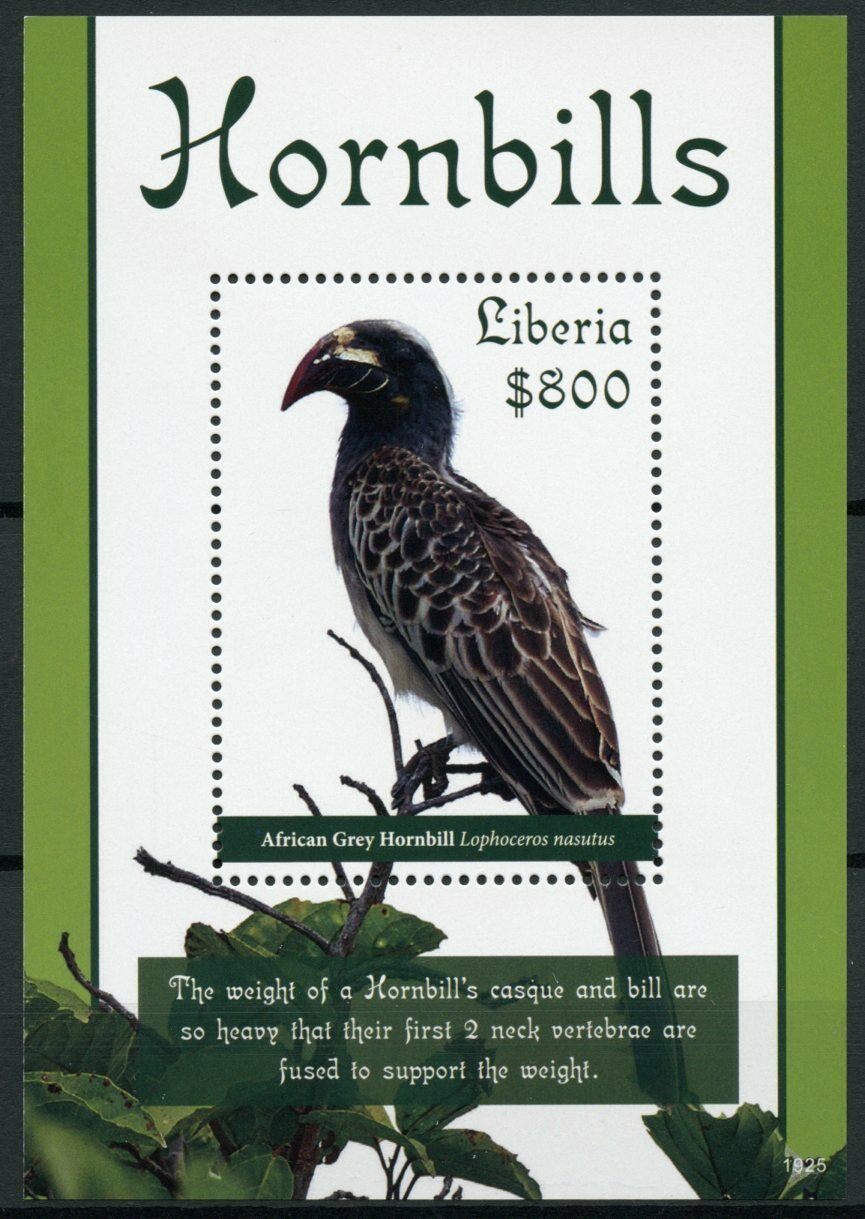 Liberia Birds on Stamps 2019 MNH Hornbills White-Crested Hornbill 1v S/S