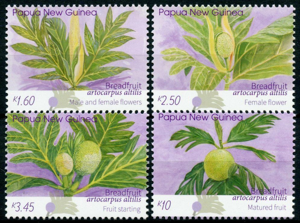 Papua New Guinea PNG Fruits Stamps 2020 MNH Breadfruit Plants Nature 4v Set