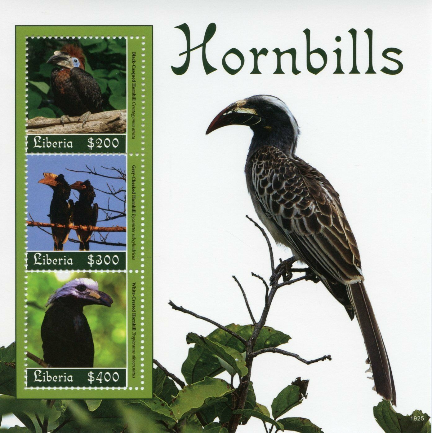 Liberia Birds on Stamps 2019 MNH Hornbills White-Crested Hornbill 3v M/S
