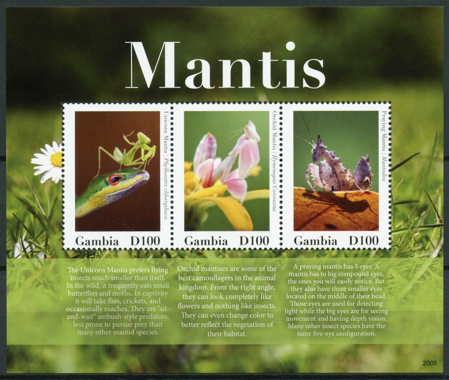 Gambia 2020 MNH Insects Stamps Unicorn Orchid Praying Mantis Fauna 3v M/S