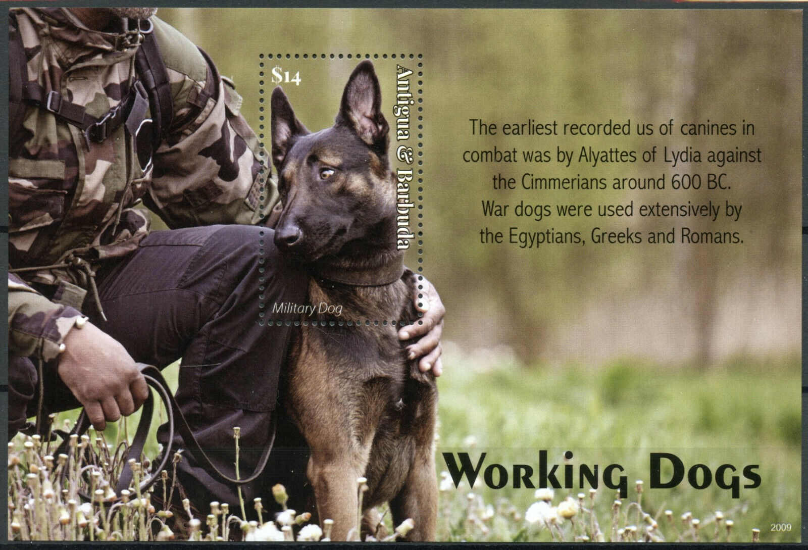 Antigua & Barbuda 2020 MNH Working Dogs Stamps Sled Guide Police Dog 1v S/S