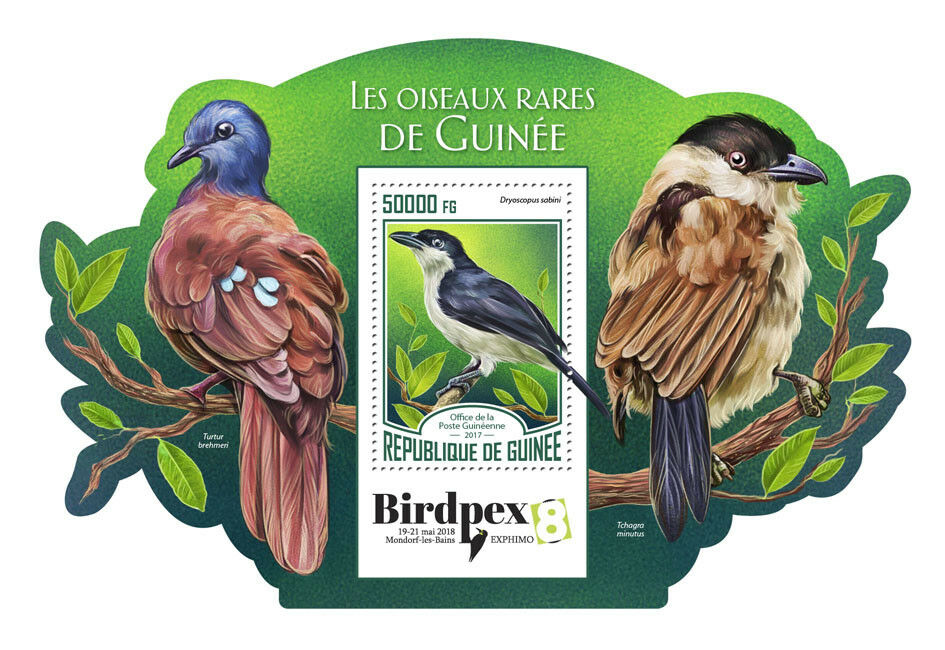 Guinea 2017 MNH Rare Birds on Stamps Birdpex Sabine's Puffback Tchagra 1v S/S