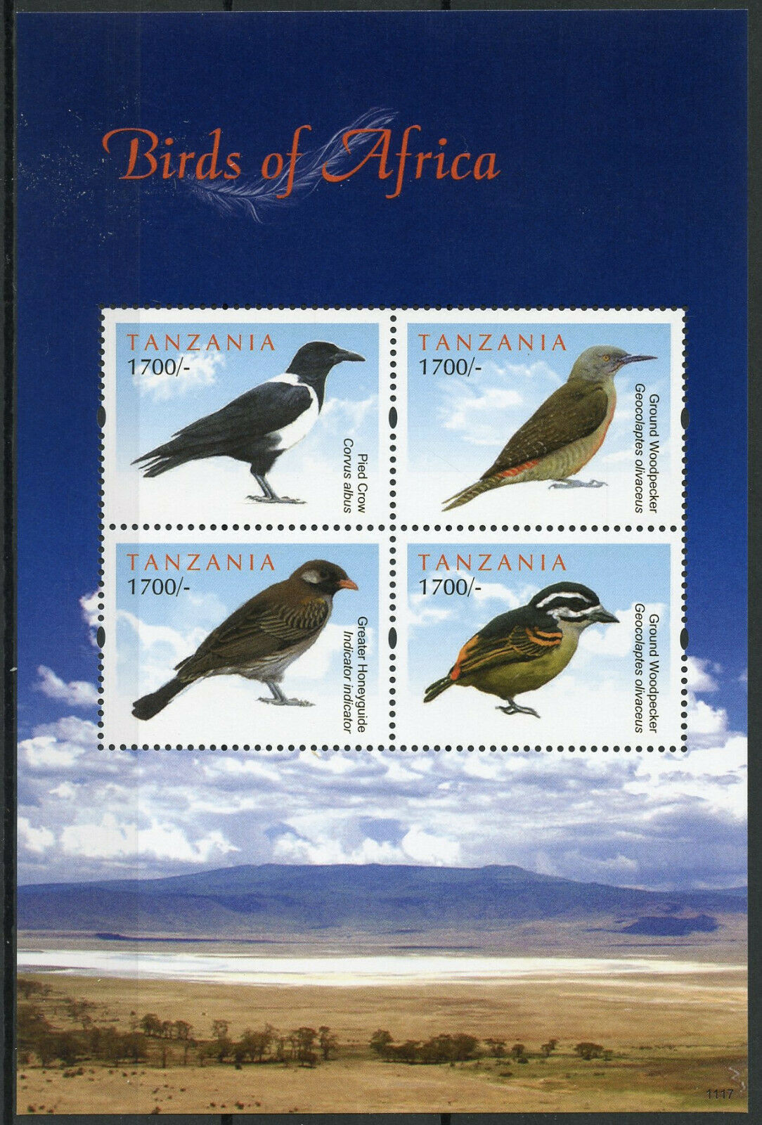 Tanzania Birds on Stamps 2011 MNH Birds of Africa Crows Woodpeckers 4v M/S II