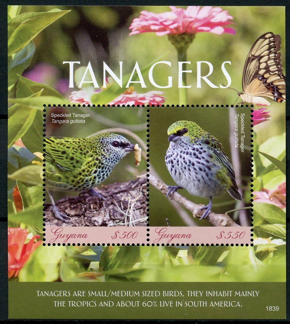 Guyana 2018 MNH Birds on Stamps Tanagers Speckled Tanager 2v S/S