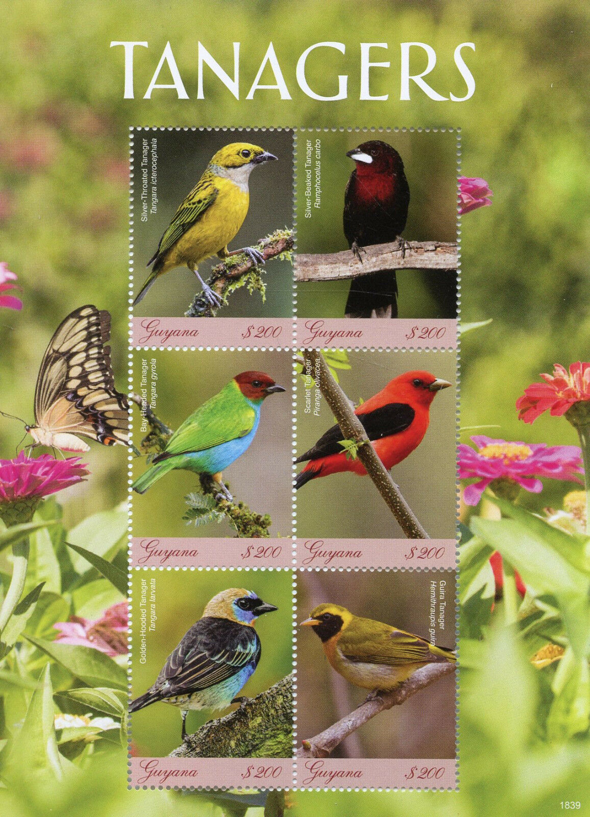 Guyana 2018 MNH Birds on Stamps Tanagers Guira Scarlet Tanager 6v M/S