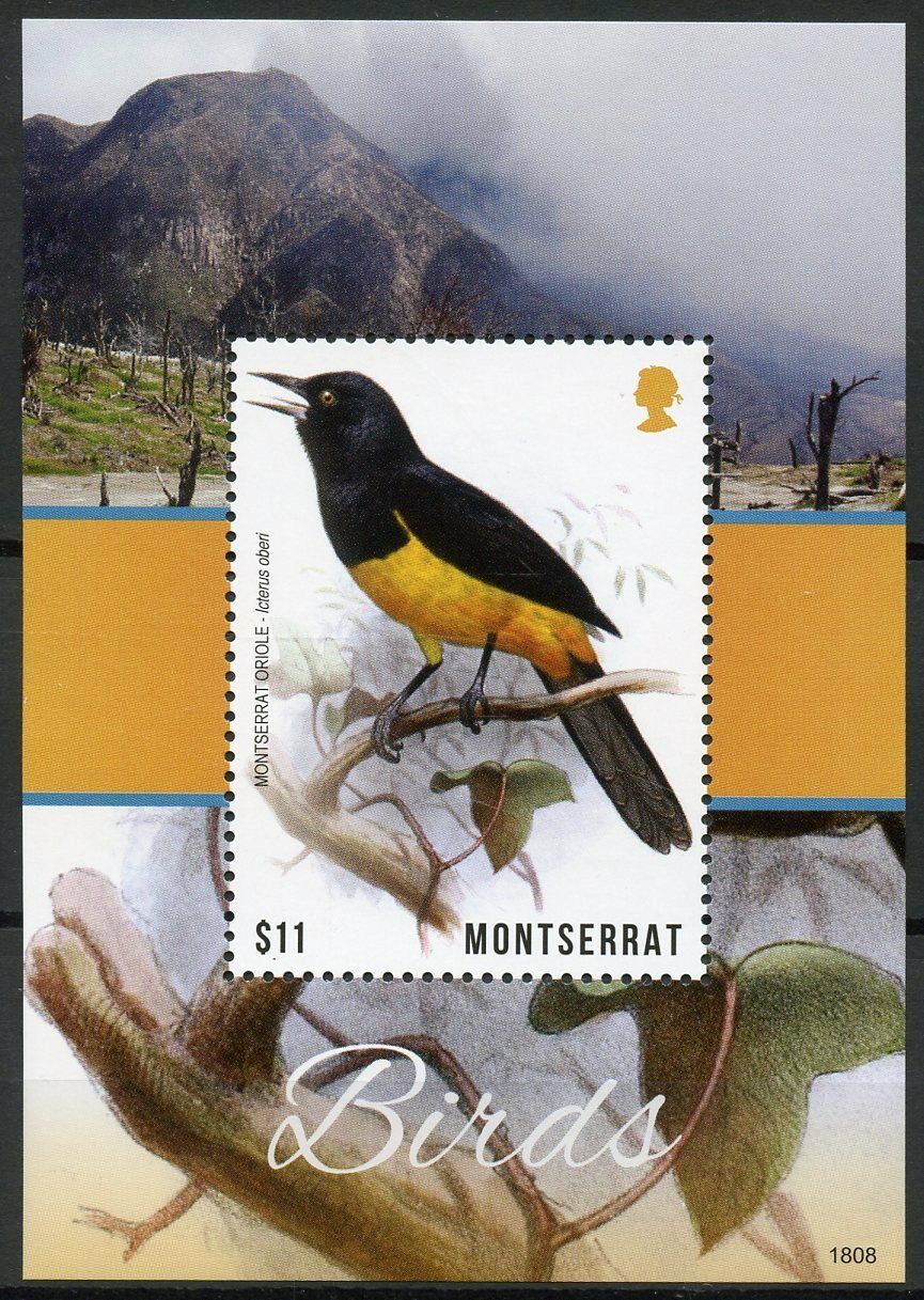 Montserrat 2018 MNH Birds on Stamps Montserrat Oriole Orioles Bird 1v S/S